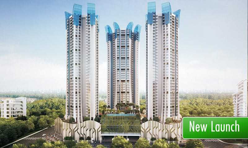 Neillia Elite
